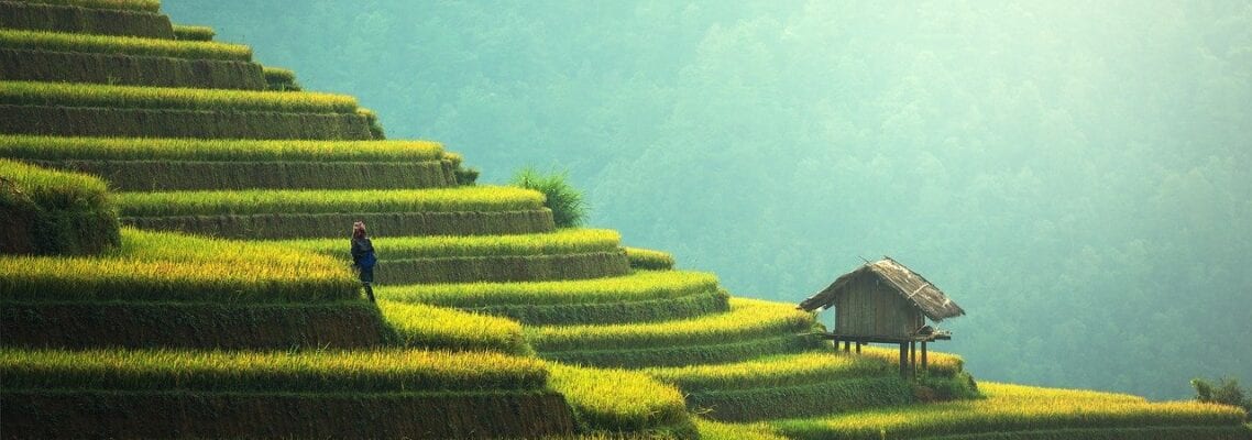 A person standing on top of a green hill.