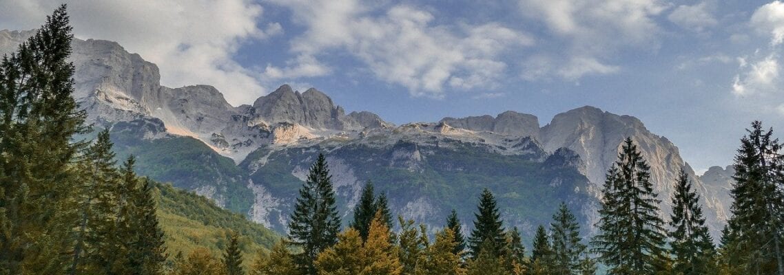 A view of the mountains with trees in the foreground.