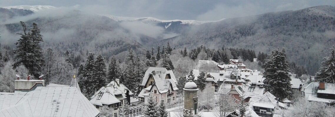 A snowy mountain with many buildings and trees