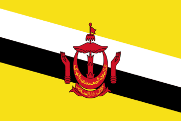 A flag of brunei with two hands and the state coat of arms.