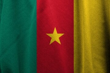 A close up of the flag of cameroon