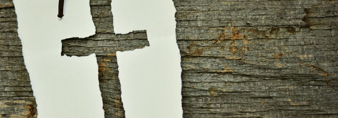 A cross is cut out of the bark of a tree.