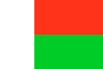 A red and green flag with the white background.