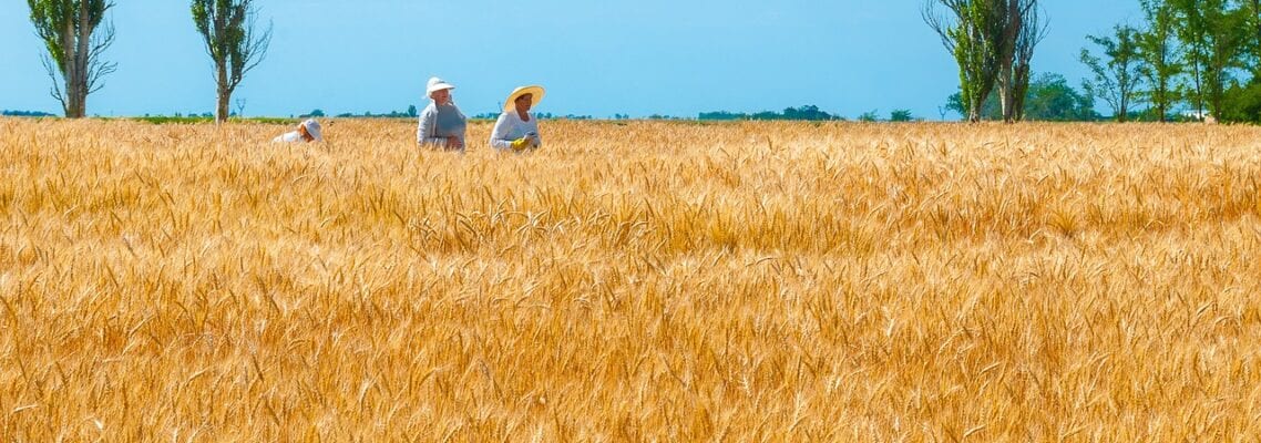 A couple of people in the middle of an open field.